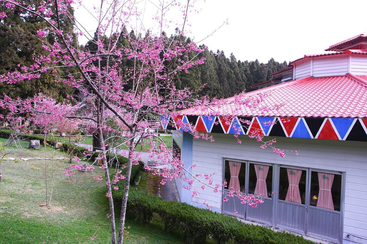 Alishan Youth Activity Center Zhongzheng  Luaran gambar