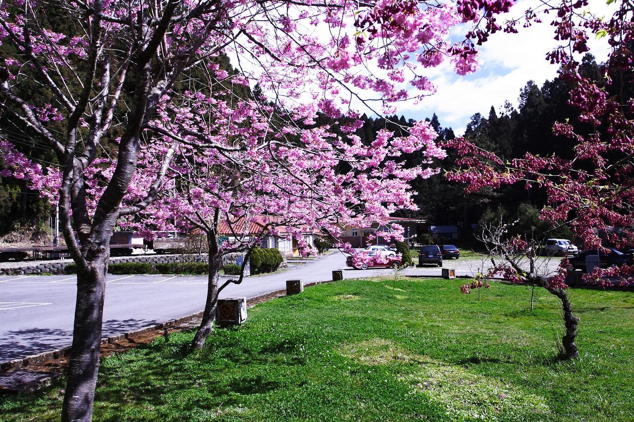 Alishan Youth Activity Center Zhongzheng  Luaran gambar